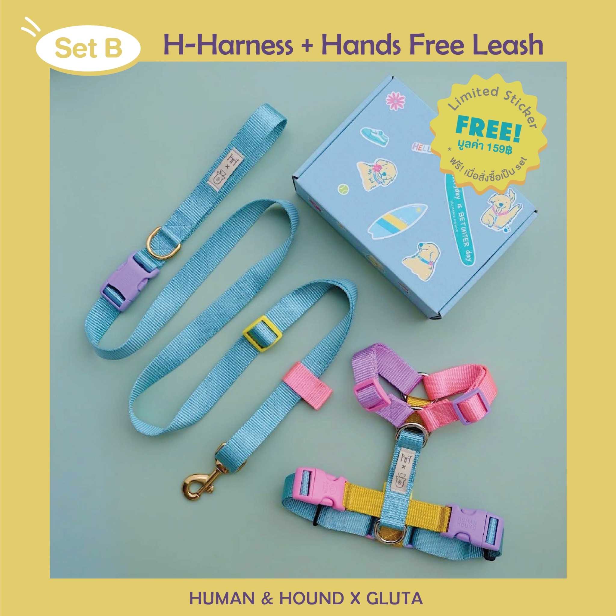 H&H x Gluta Story for Beta (Set B) : ชุดรัดอก + สายจูง HandsFree Leash