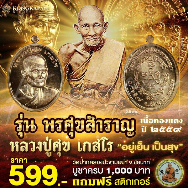 เหรียญพิมพ์รูปไข่หันข้างรุ่นแรก รุ่น พร ศุข สำราญ หลวงปู่ศุข วัดปากคลองมะขามเฒ่า เนื้อทองแดง