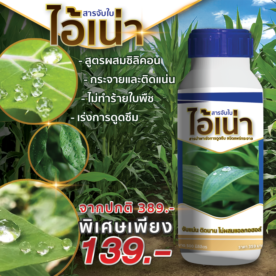 ไอ้เน่า สารจับใบ ขนาด 500 cc.
