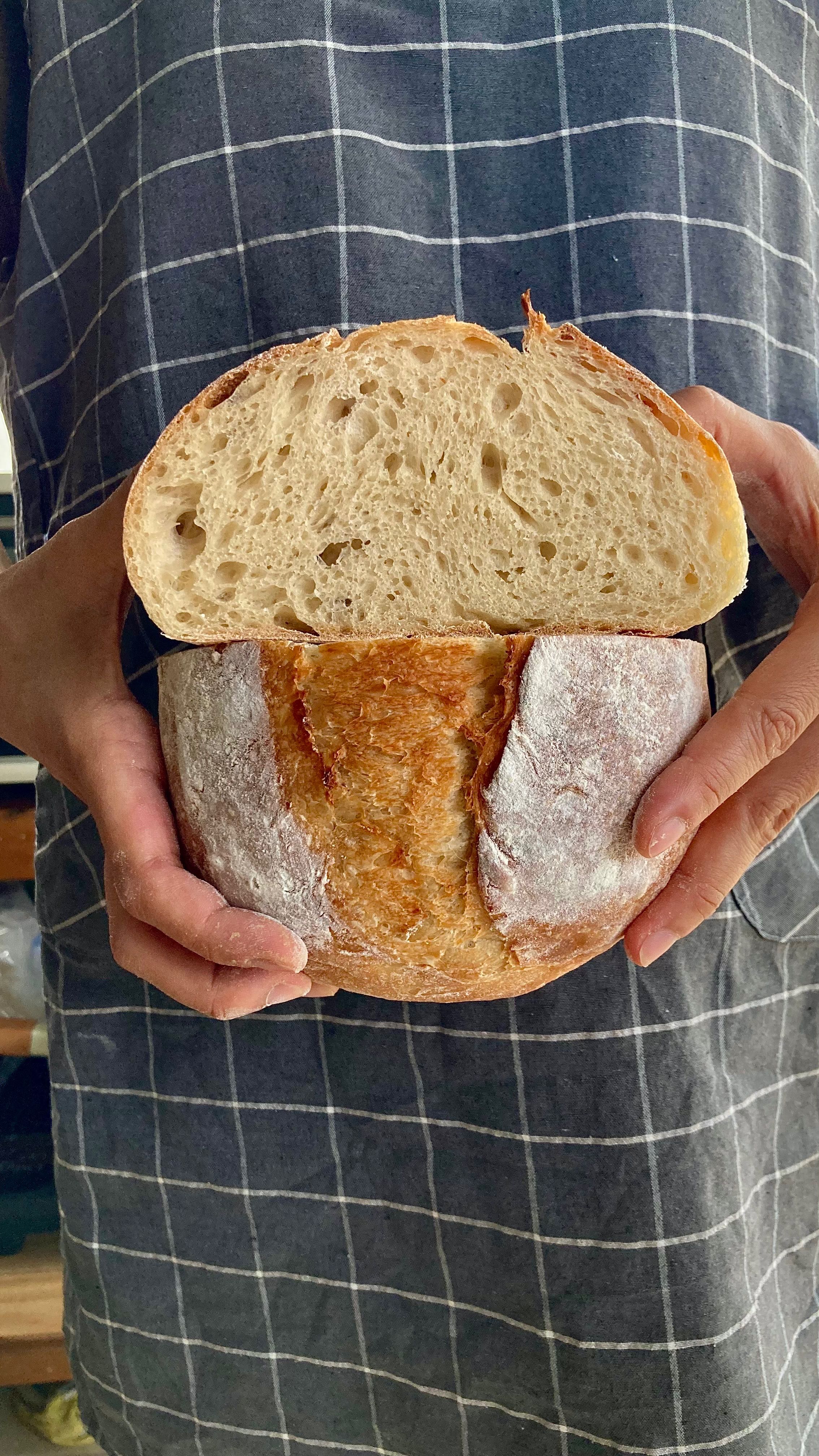 Private Class: Handmade Sourdough(2days)+Eclass