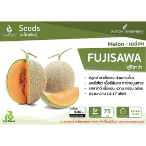 Melon - Fujisawa RZ F1
