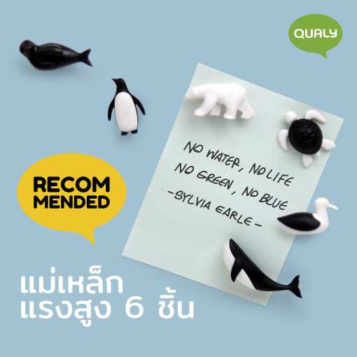 Save The Ocean Magnet แม่เหล็กติดตู้เย็น ดีไซน์ เพนกวิน Qualy(ควอลี่)