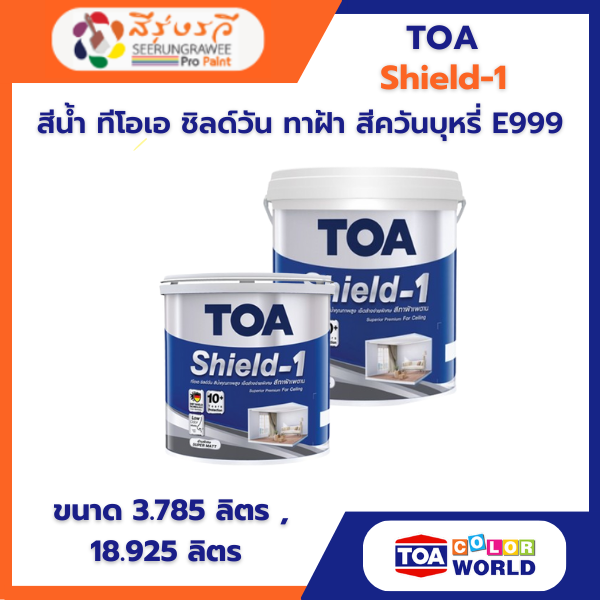 สีน้ำ ทีโอเอ ชิลด์วัน ทาฝ้า สีควันบุหรี่ E999