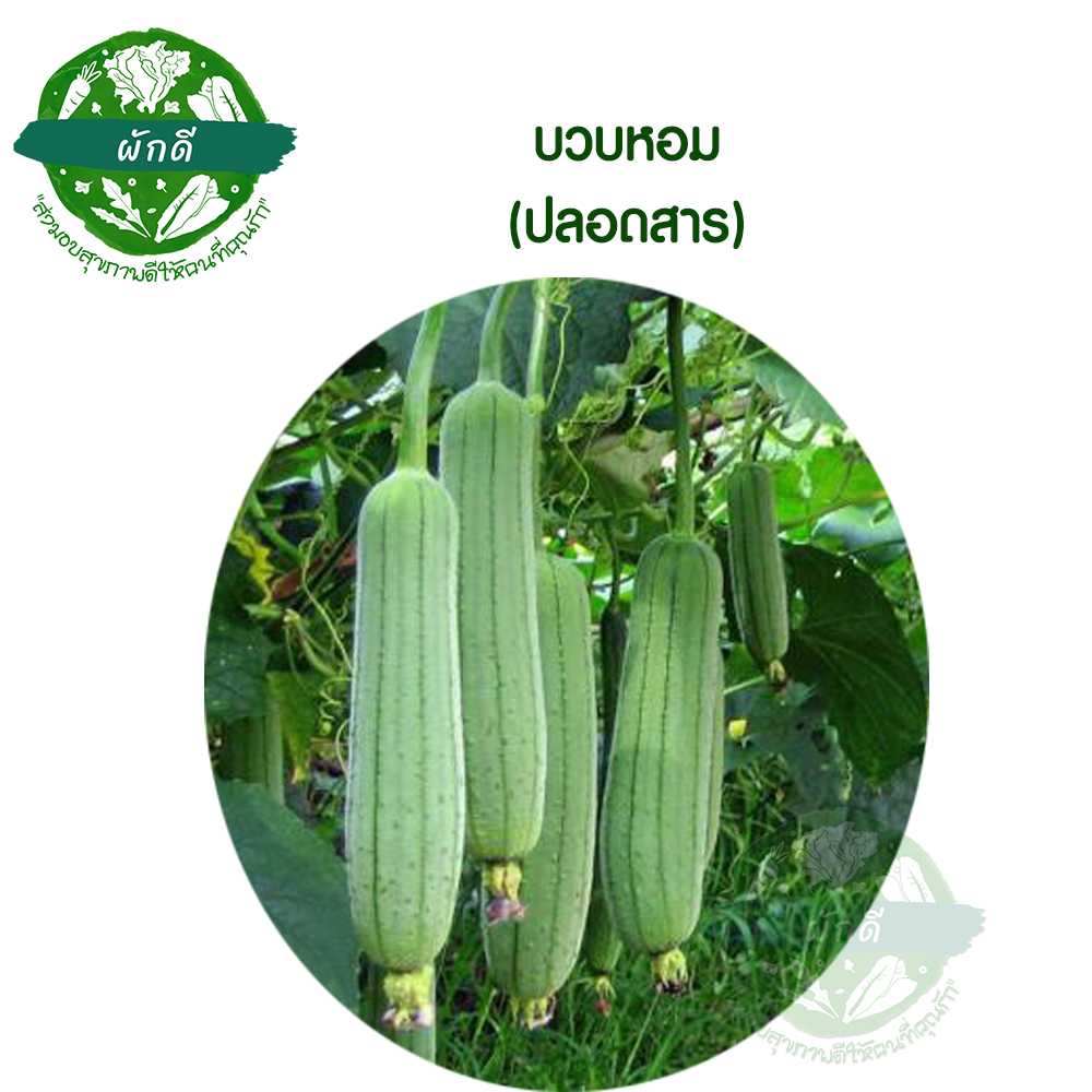 บวบหอม (ปลอดสาร) 500  กรัม
