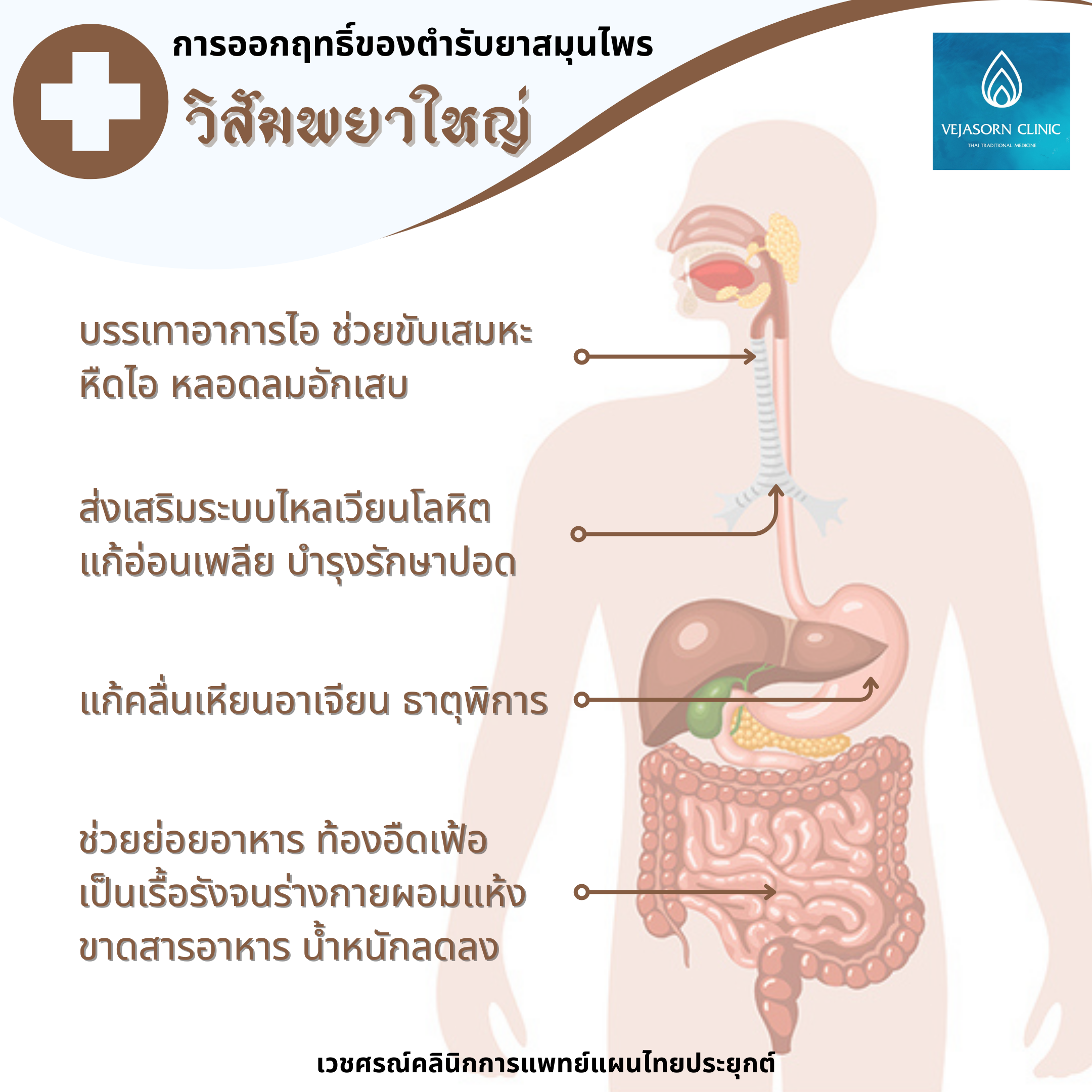 💊 วิสัมพยาใหญ่