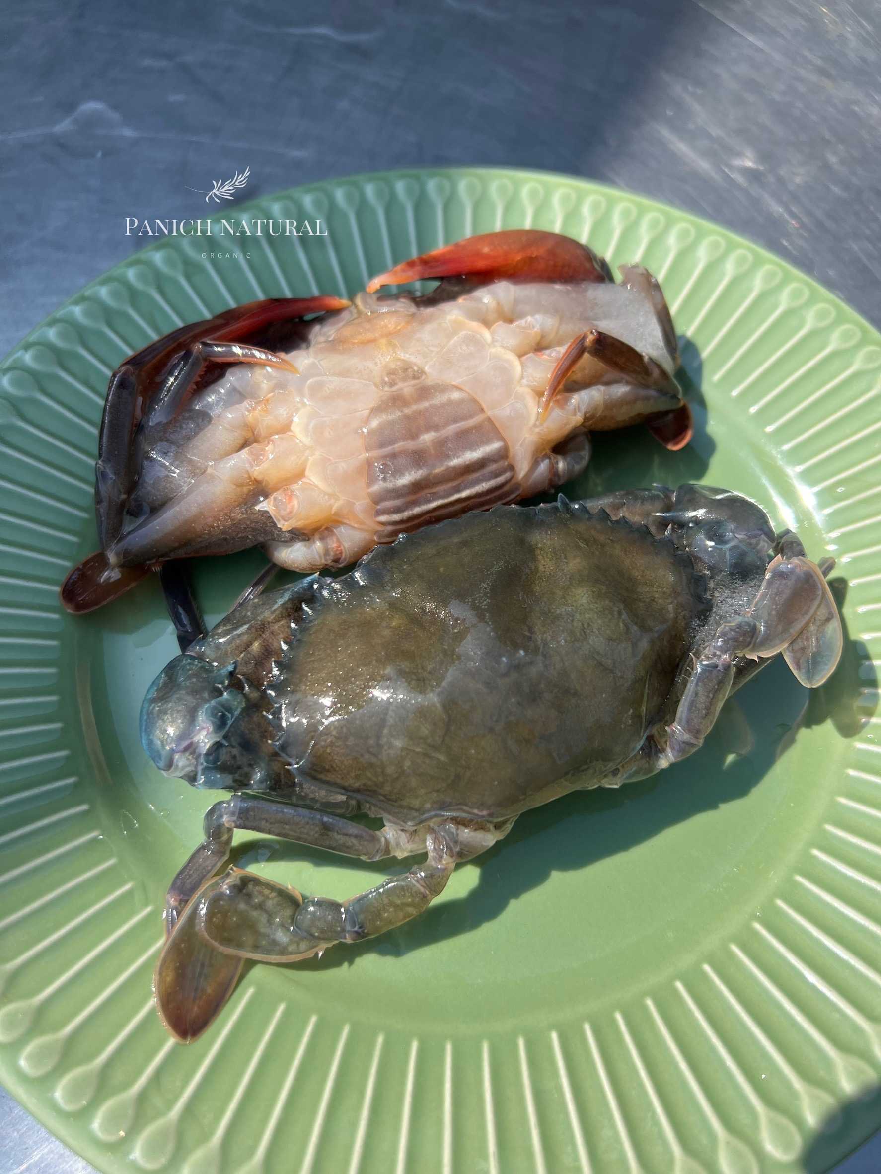 ปูนิ่ม Soft Shell Crab