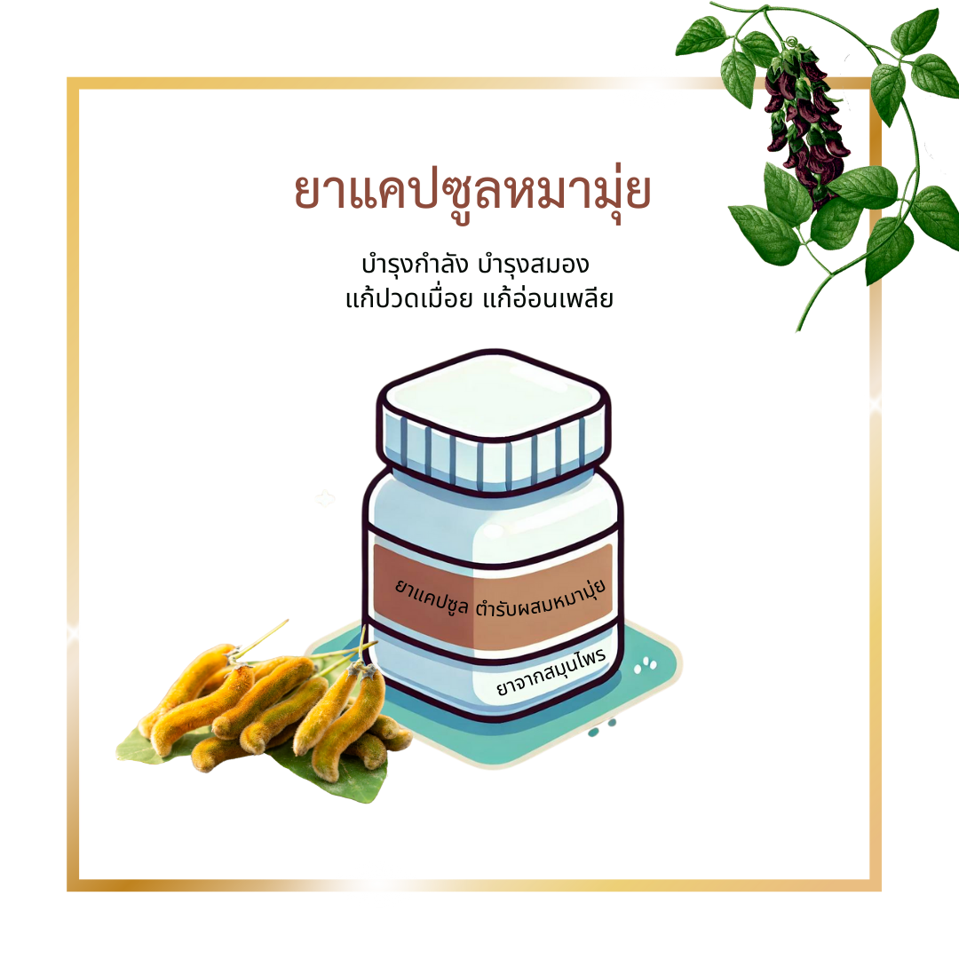 ยาแคปซูล ตำรับผสมหมามุ่ย 70 แคปซูล