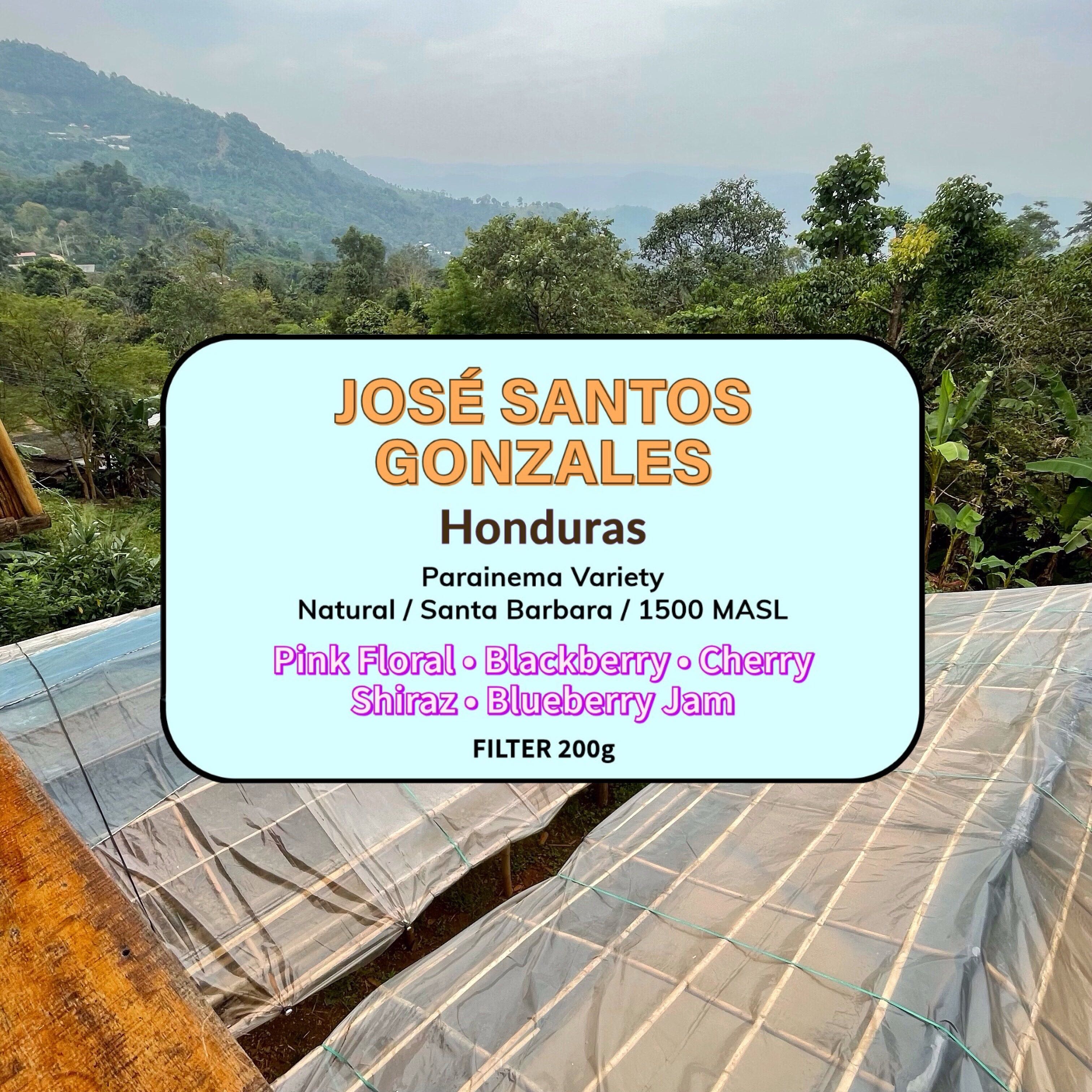 José Santos Gonzales ( Filter Roasted )