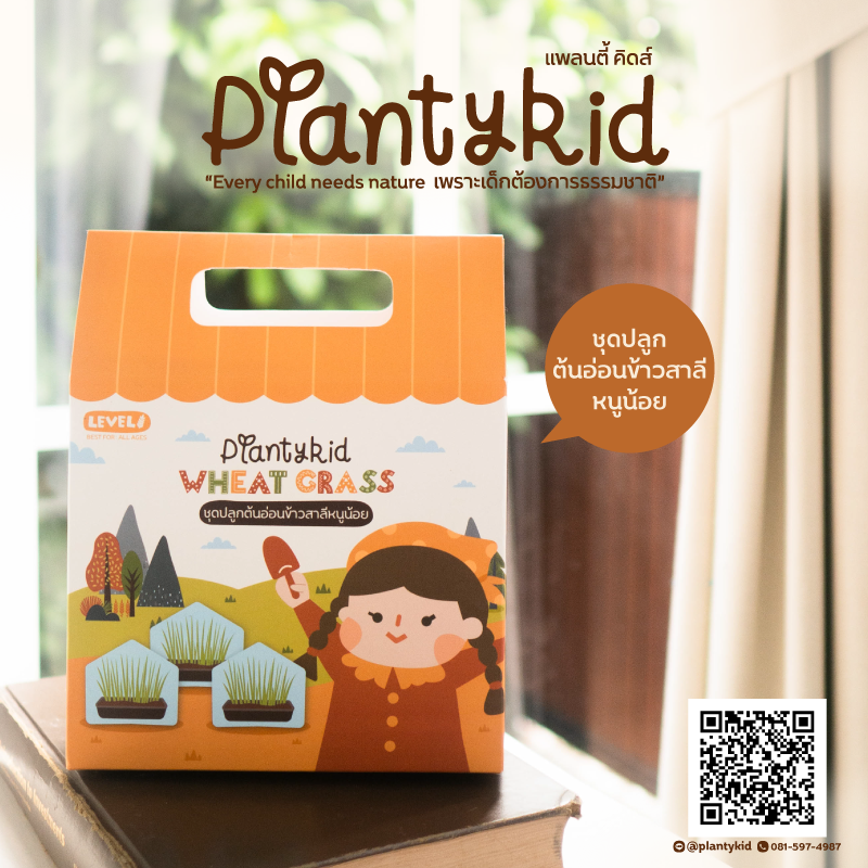 Planty Kid ชุดปลูกผักออร์แกนิค : ต้นอ่อนข้าวสาลี (Wheatgrass)