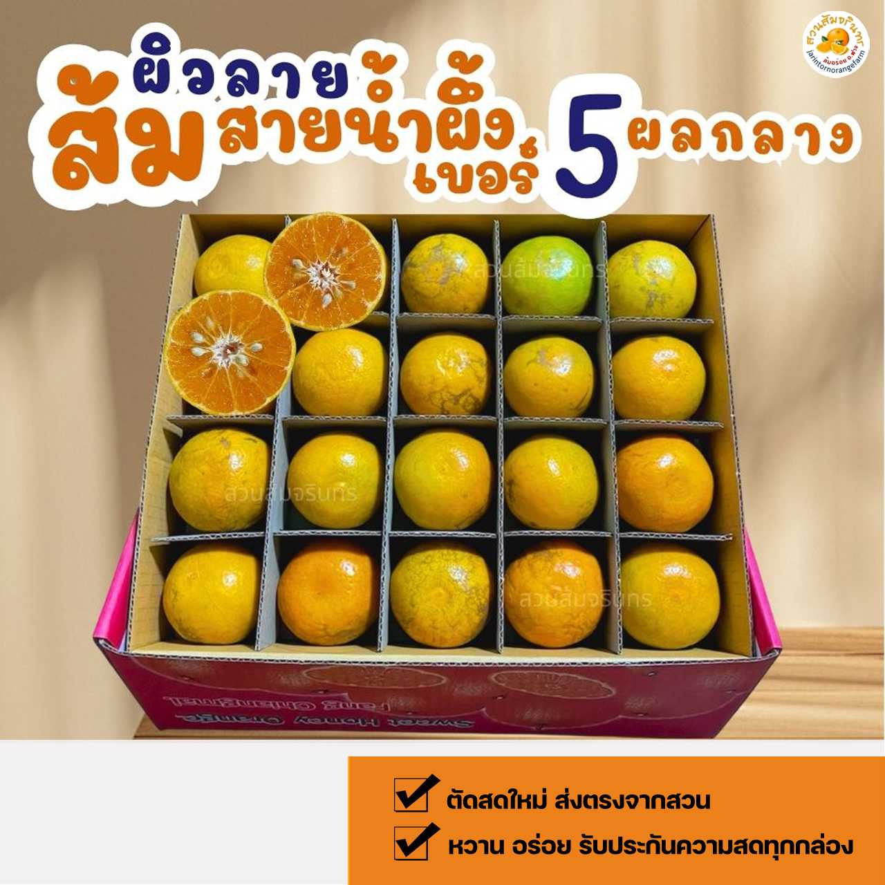 40 ลูก ส้มไซส์กลาง เบอร์ 5 ส้มทานเล่น ผิวลาย หวานอร่อย ชานนุ่ม ตัดสดใหม่ บรรจุกล่องแยกช่อง 2 ชั้น