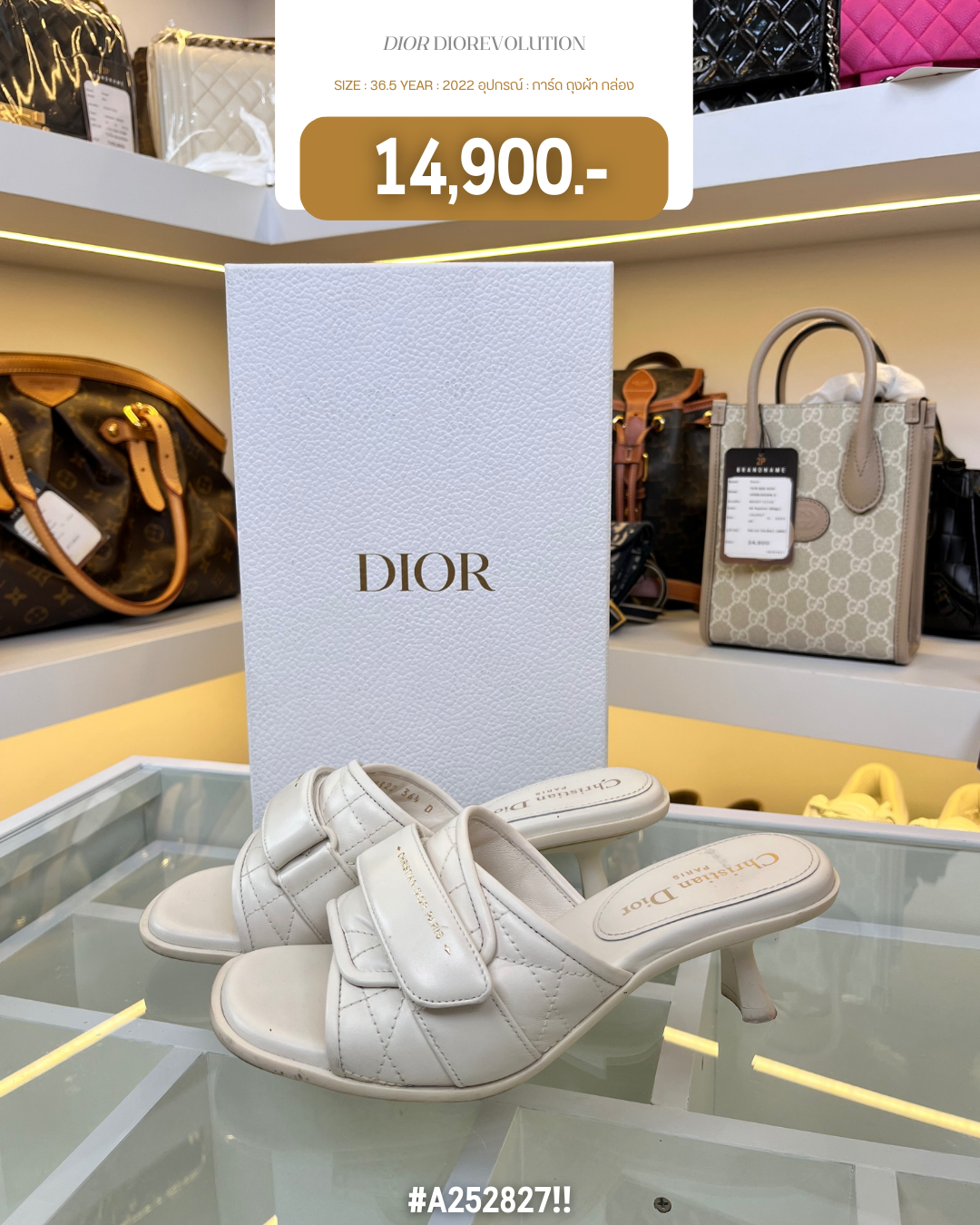 DIOR DIOREVOLUTION (A252827)