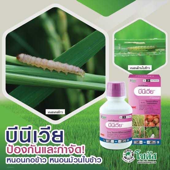 บีนีเวีย ขนาด 250 ซีซี ชื่อสามัญ: ไซแอนทรานิลิโพรล (cyantraniliprole) สานป้องกันและกำจัดแมลง