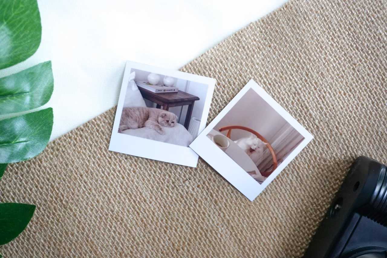 polaroidขนาด2×2