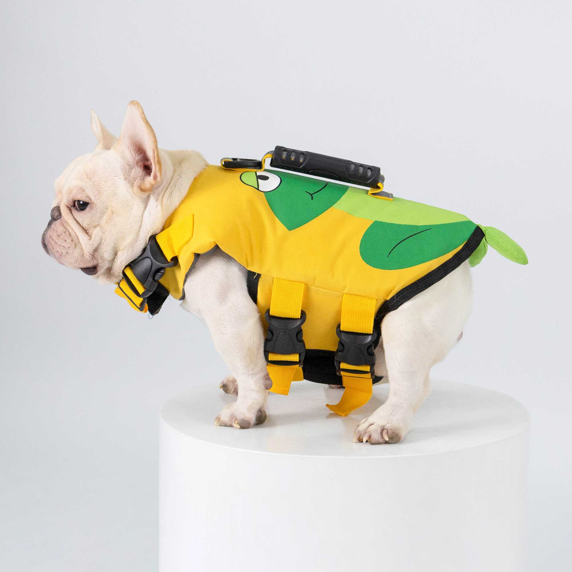 เสื้อชูชีพสัตว์เลี้ยง - ลายกบ Life jacket | Clawset.bkk