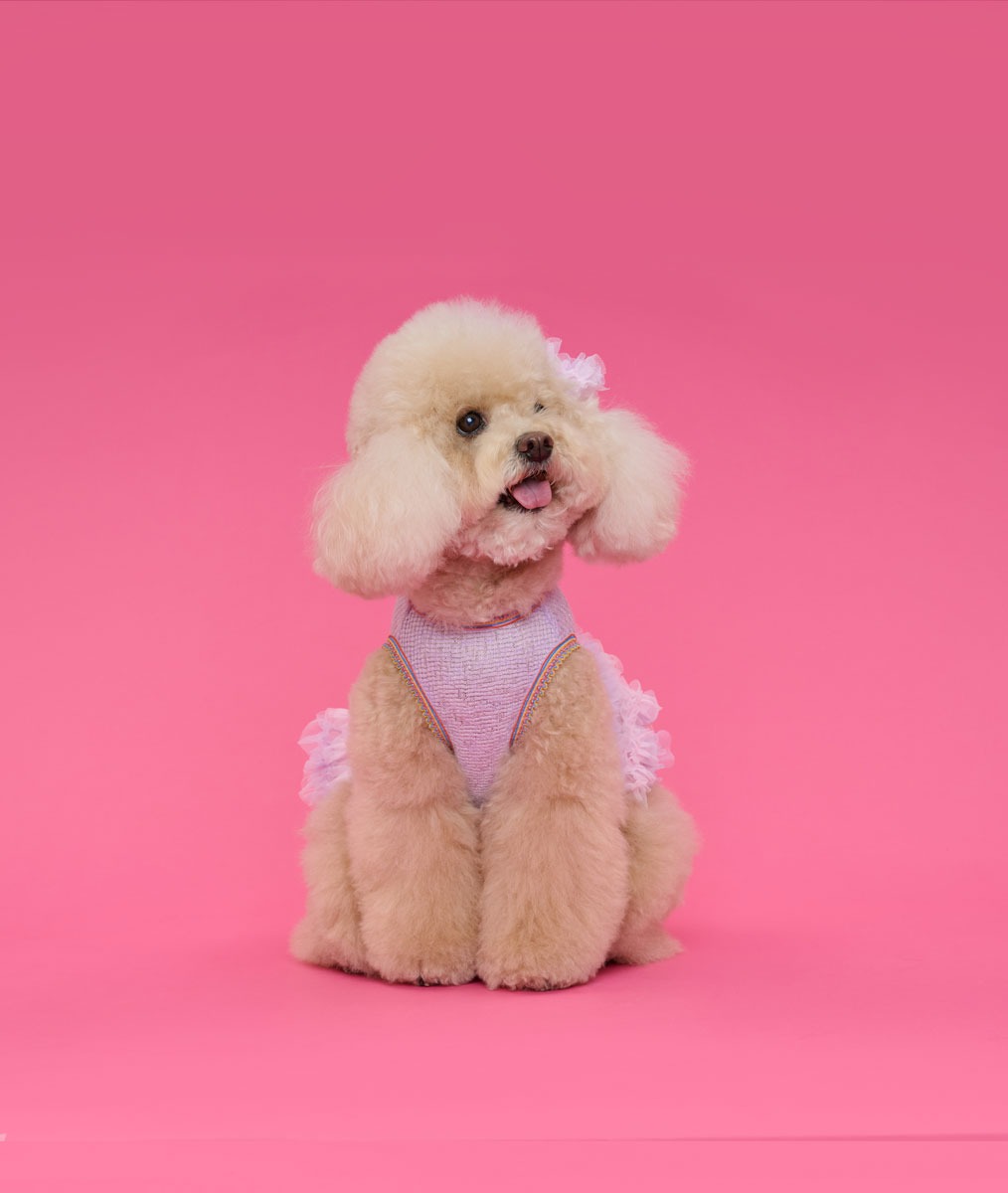 Comocomo-(SM)Orogon purple