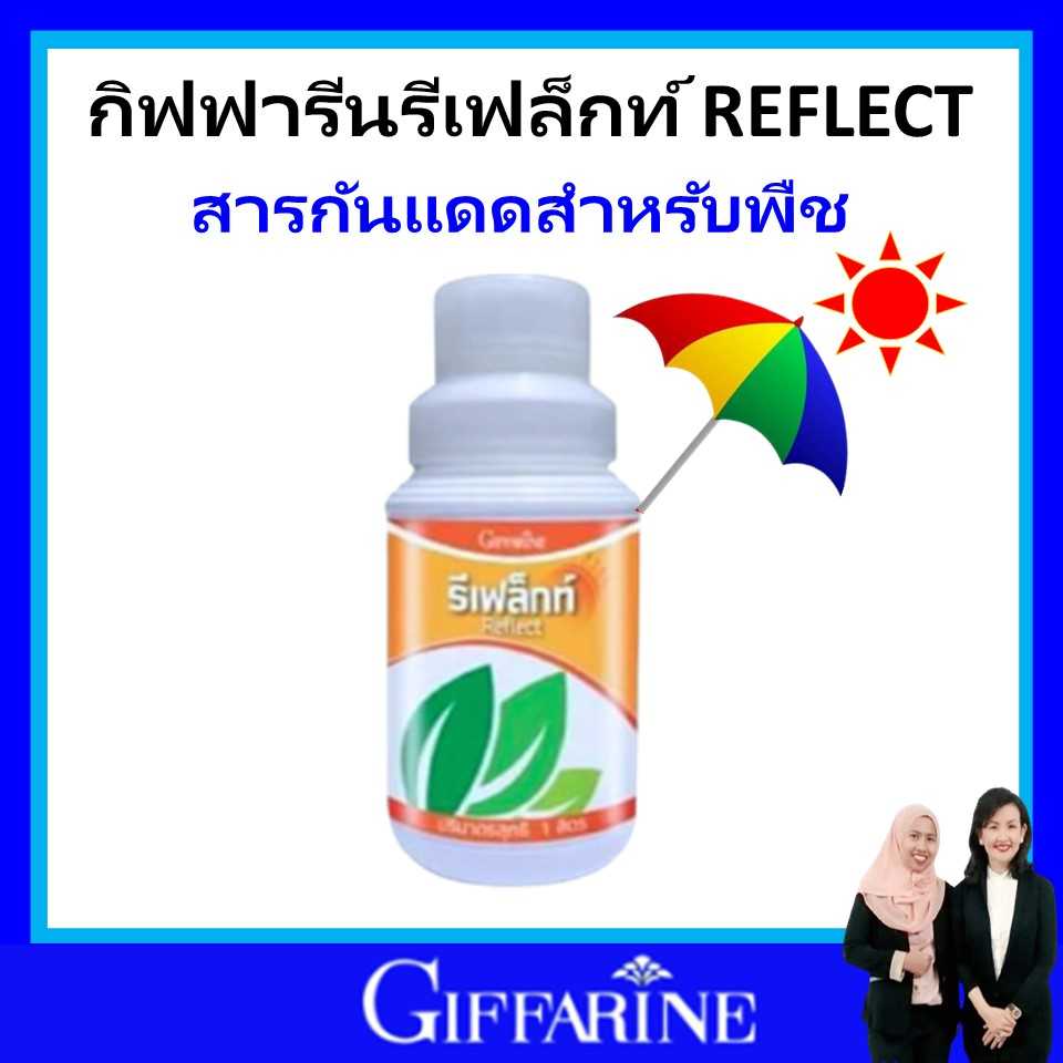 ปุ๋ยกิฟฟารีน ปุ๋ย สวน ดิน สารกันแดดสำหรับพืช สารจับใบ giffarine เพิ่มความแข็งแรง ความทนทานให้พืช แท้