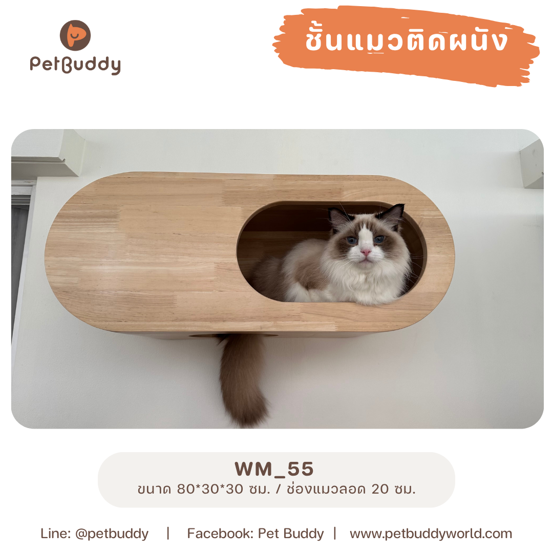 Pet Buddy: ชั้นแมวติดผนัง wm_55