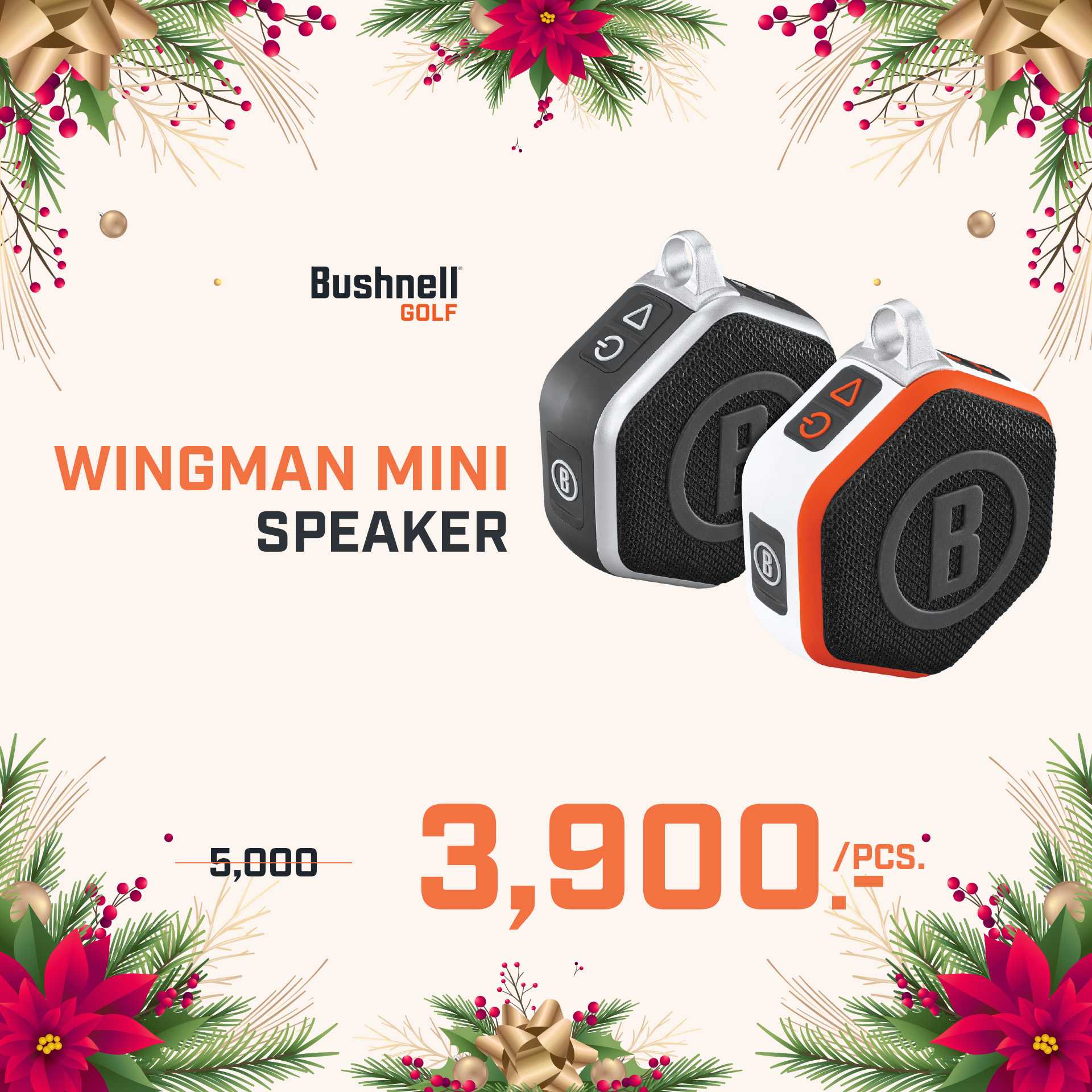 Bushnell WINGMAN MINI ลำโพงขนาดกะทัดรัด