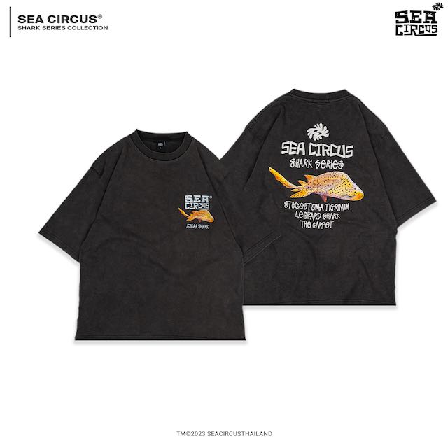 Zebra Shark (Faded)