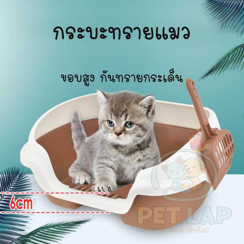 กระบะทรายแมว ทรงเหลี่ยม ขอบสูงกันทรายกระเด็น แถมฟรี! ที่ตักทรายแมว เหมาะสำหรับลูกแมว