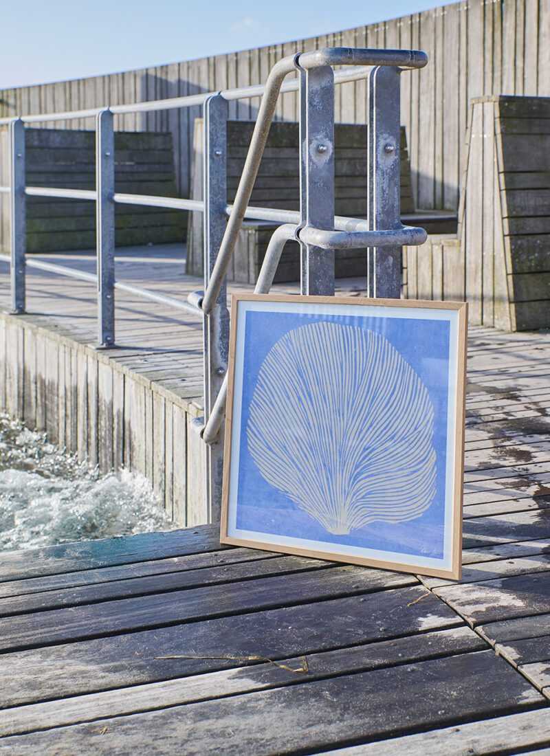 Sea Lavender BY REBECCA HEIN (SIZE 50 x 50 cm.)