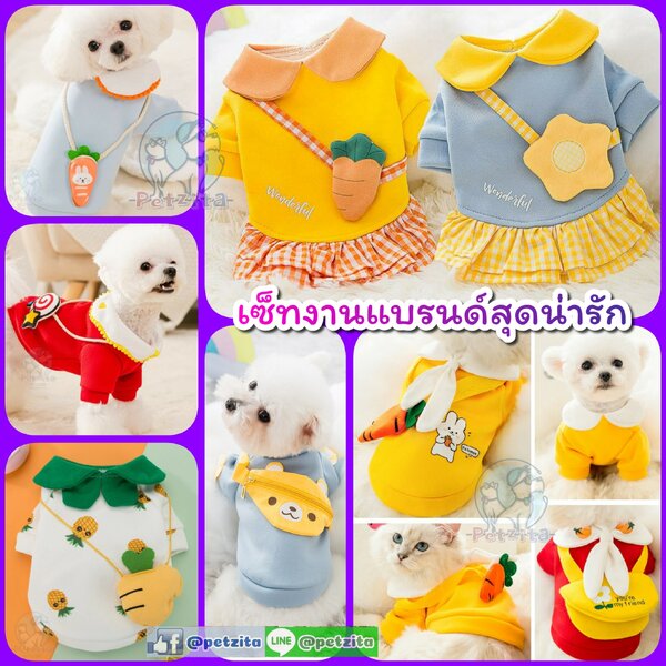 🇹🇭พร้อมส่ง🇹🇭 💕 คาวาอิ ^,^ ชุดงานแบรนด์เกรดพรีเมี่ยม น่ารักมาก For PET สุนัข หมา แมว