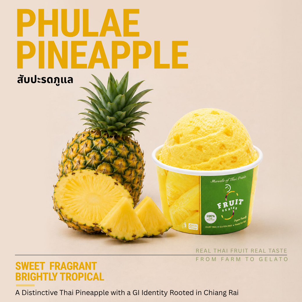 Phulae Pineapple สับปะรดภูแล (Gelato Cup) หวานอมเปรี้ยว สดชื่นมาก