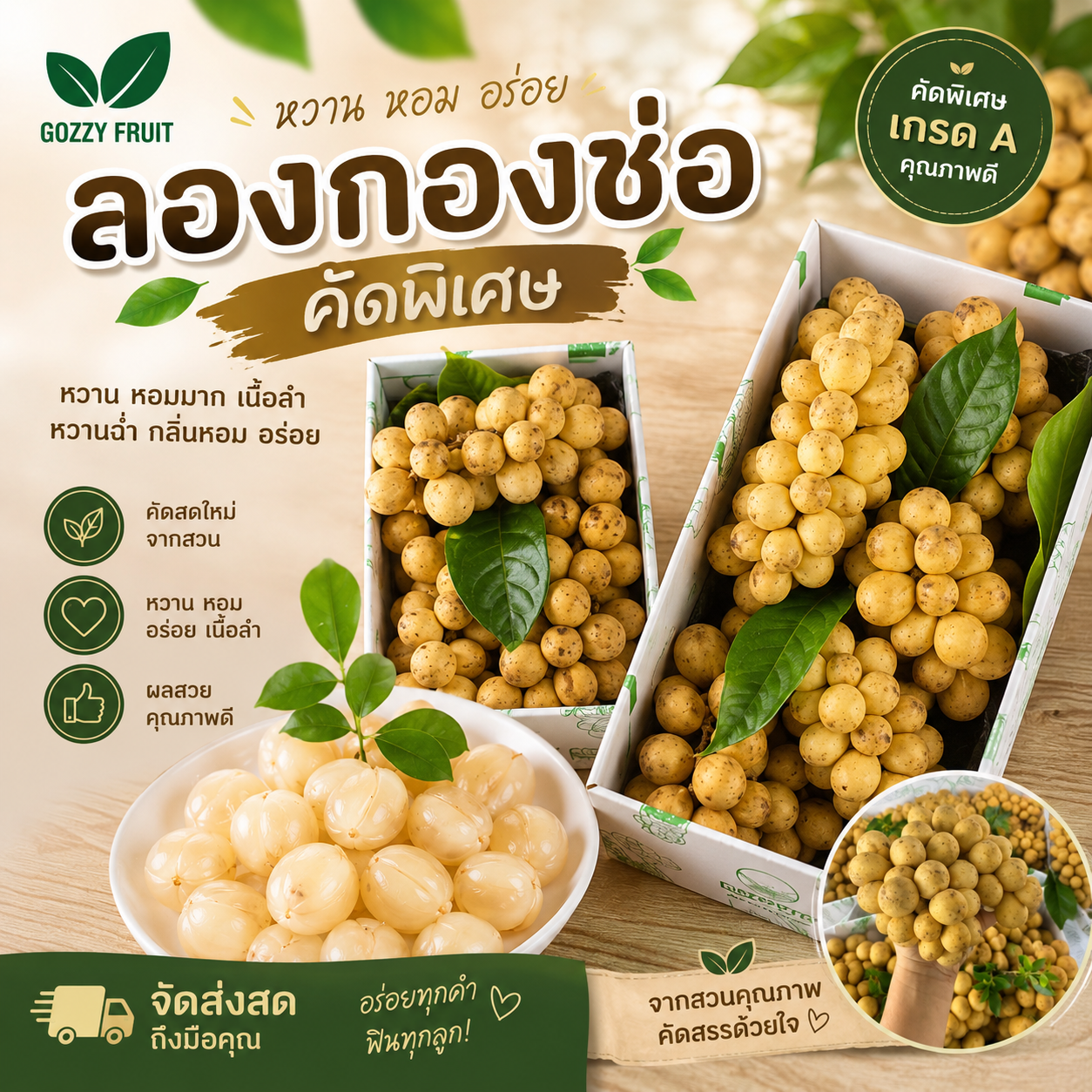 ลองกองช่อ จัมโบ้ คัดพิเศษ