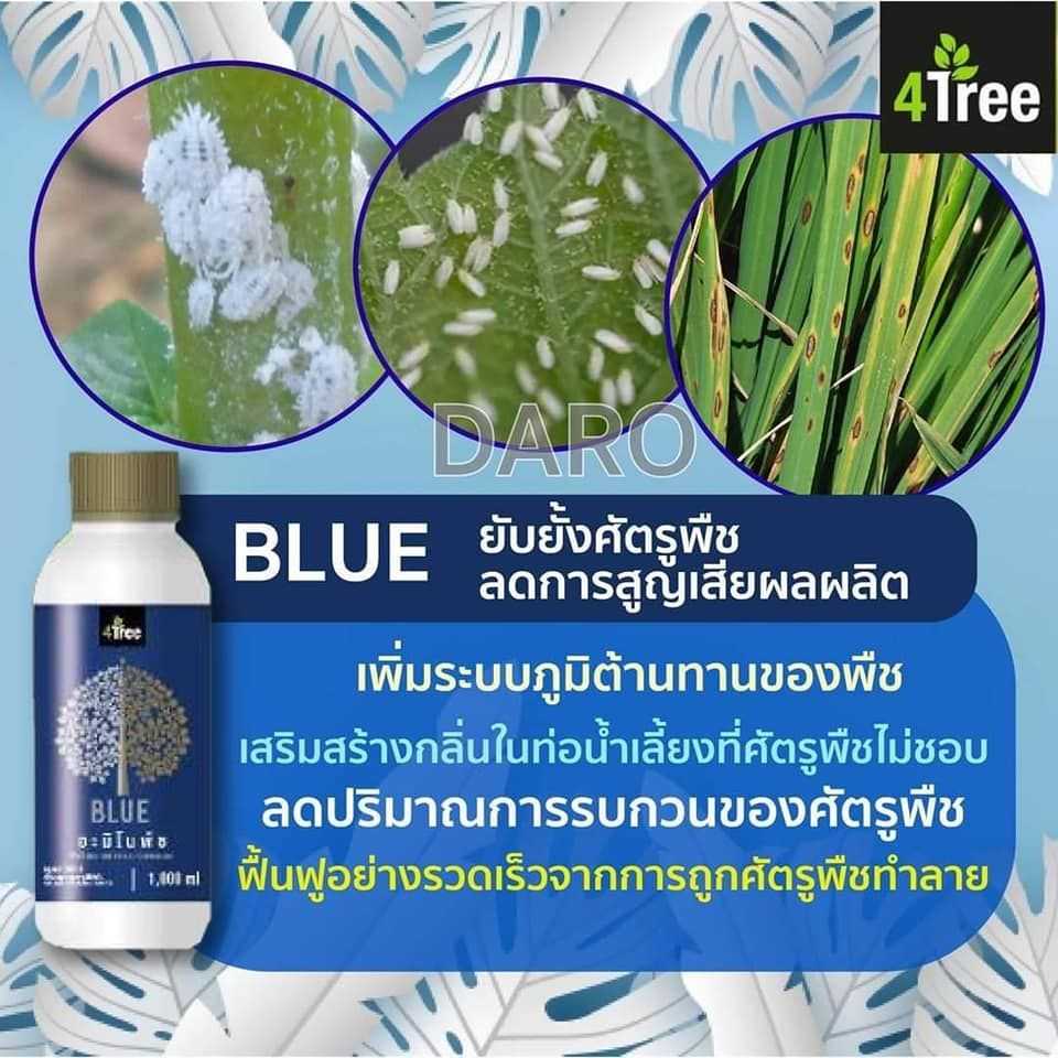 อมิโน Blue