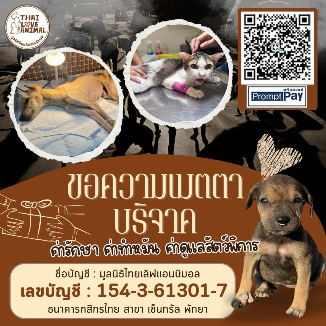 ร่วมบริจาค ค่ารักษา เดือน มีนาคม 2568