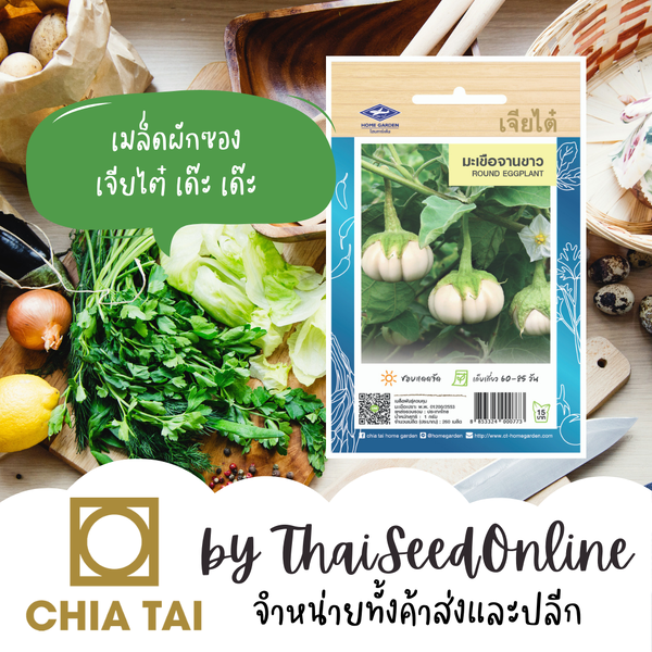 CTOP เมล็ดพันธุ์ มะเขือจานขาว ตราเจียไต๋