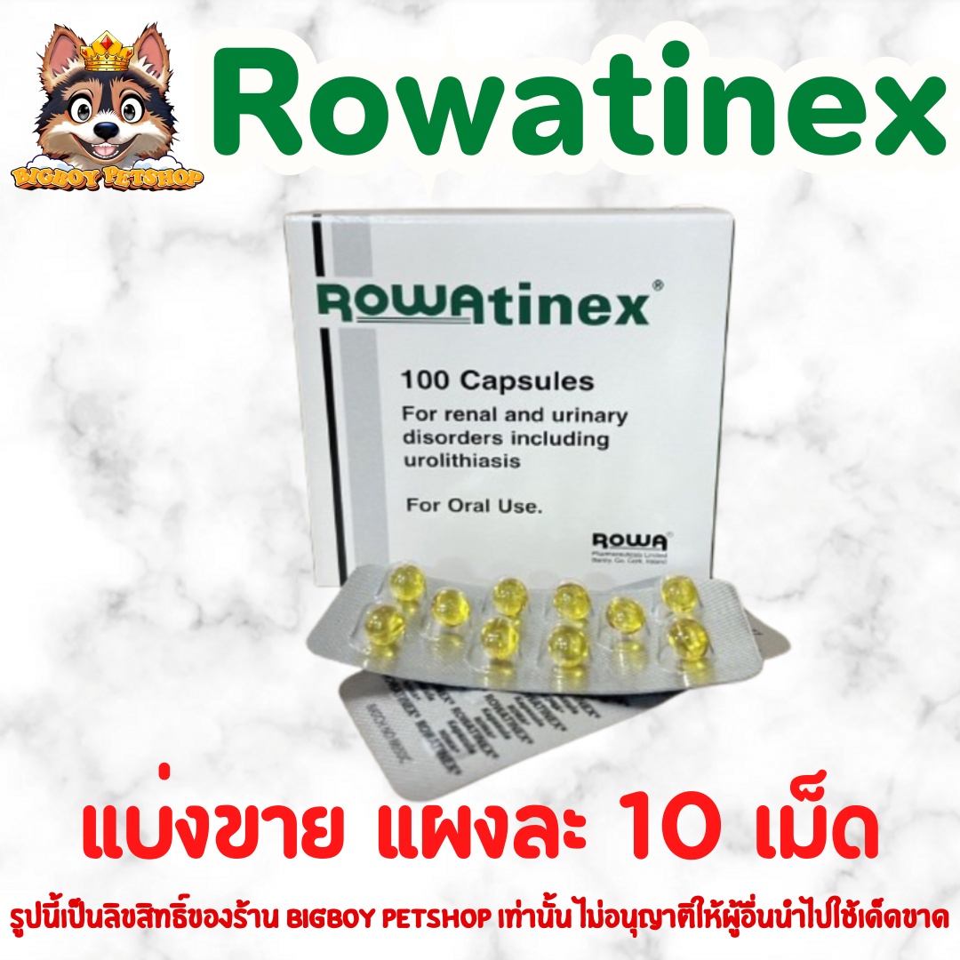 Rowatinex  สำหรับสัตว์เลี้ยง แบ่งขาย 1แผงมี10เม็ด