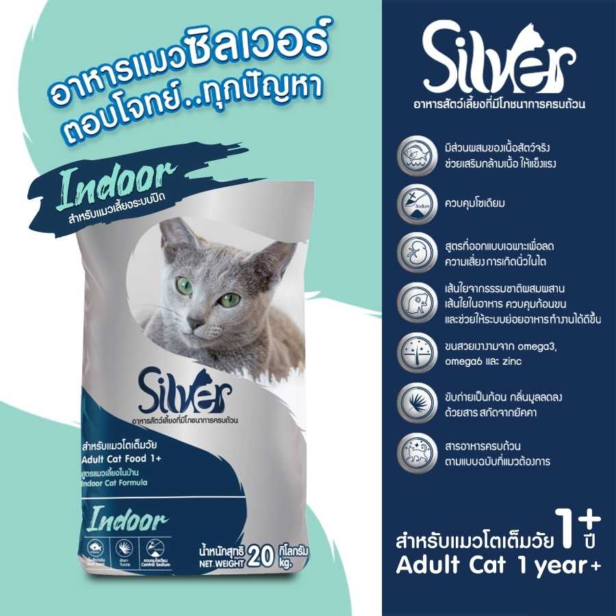 แพ็คย่อย 1 กก | Silver Indoor  1 กก. x 20 ถุง (20 KG) แถม พัดลมมือถือ