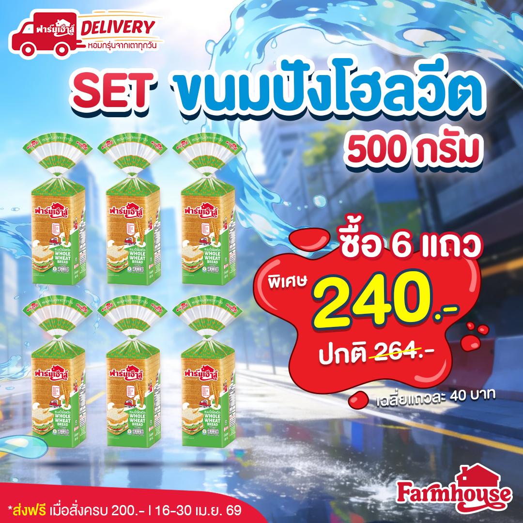 Set ขนมปังโฮลวีต 500 กรัม 6 แถว รหัส R4E