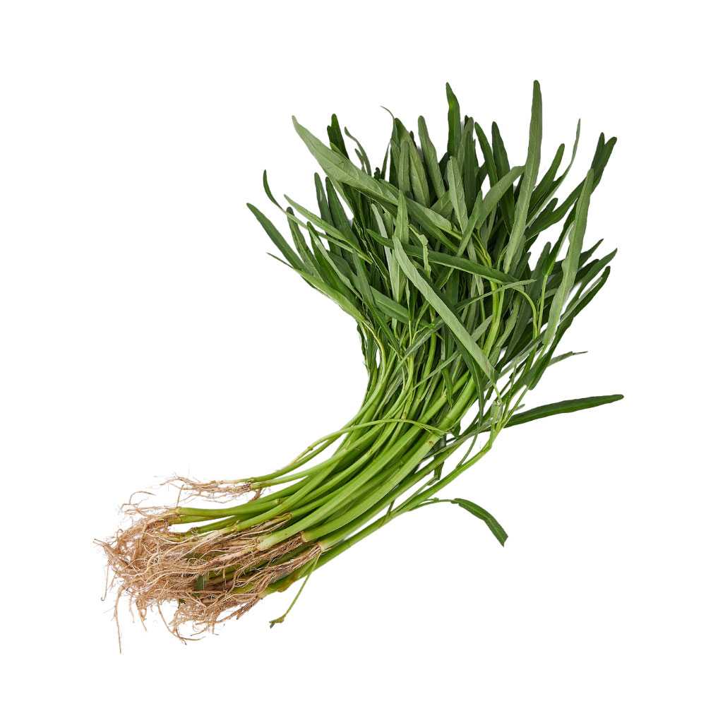 FG11003 ผักบุ้งจีน Chinese Morning Glory ( 300g )