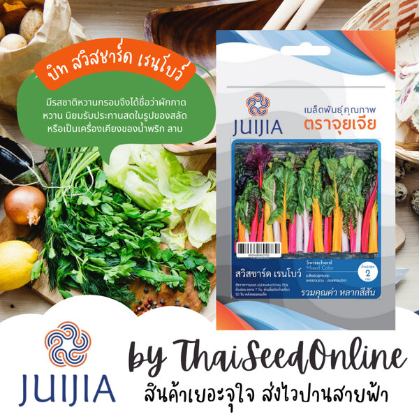 Juijia(จุยเจีย) JJ เมล็ดพันธุ์ จุยเจียสลัด บีท สวิสชาร์ด Beet Swisschard