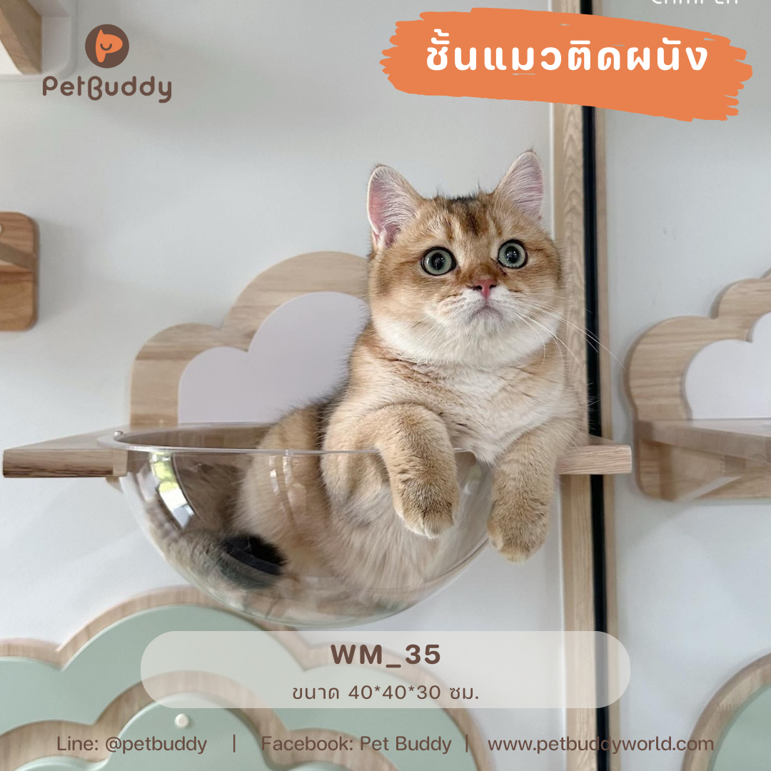 Pet Buddy: ชั้นแมวติดผนัง WM_35