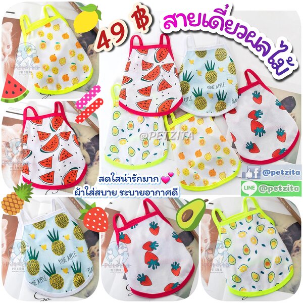🇹🇭พร้อมส่ง🇹🇭 🍍🍉🍋🍓สายเดี่ยวผลไม้&แฟชั่น🌈🐰☁️ น่ารักสดใสมาก 🐶🐱 เสื้อหมา ชุดแมว