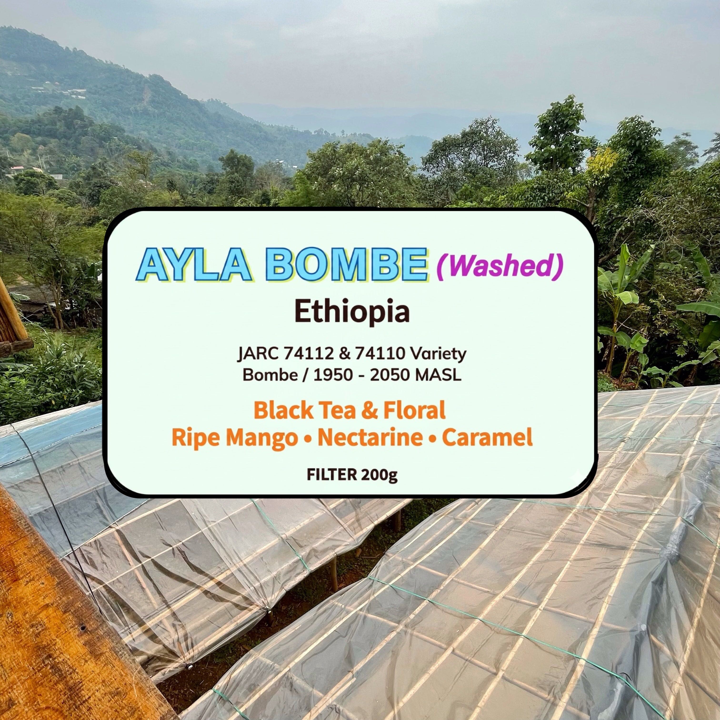 Ayla Bombe - Washed ( Filter Roasted )