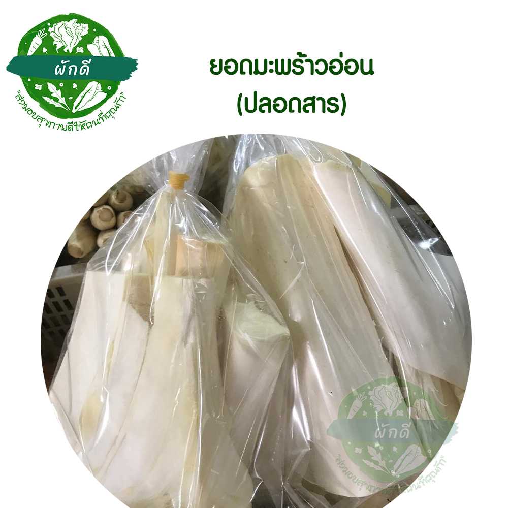 ยอดมะพร้าวอ่อน (ปลอดสาร) 450  กรัม