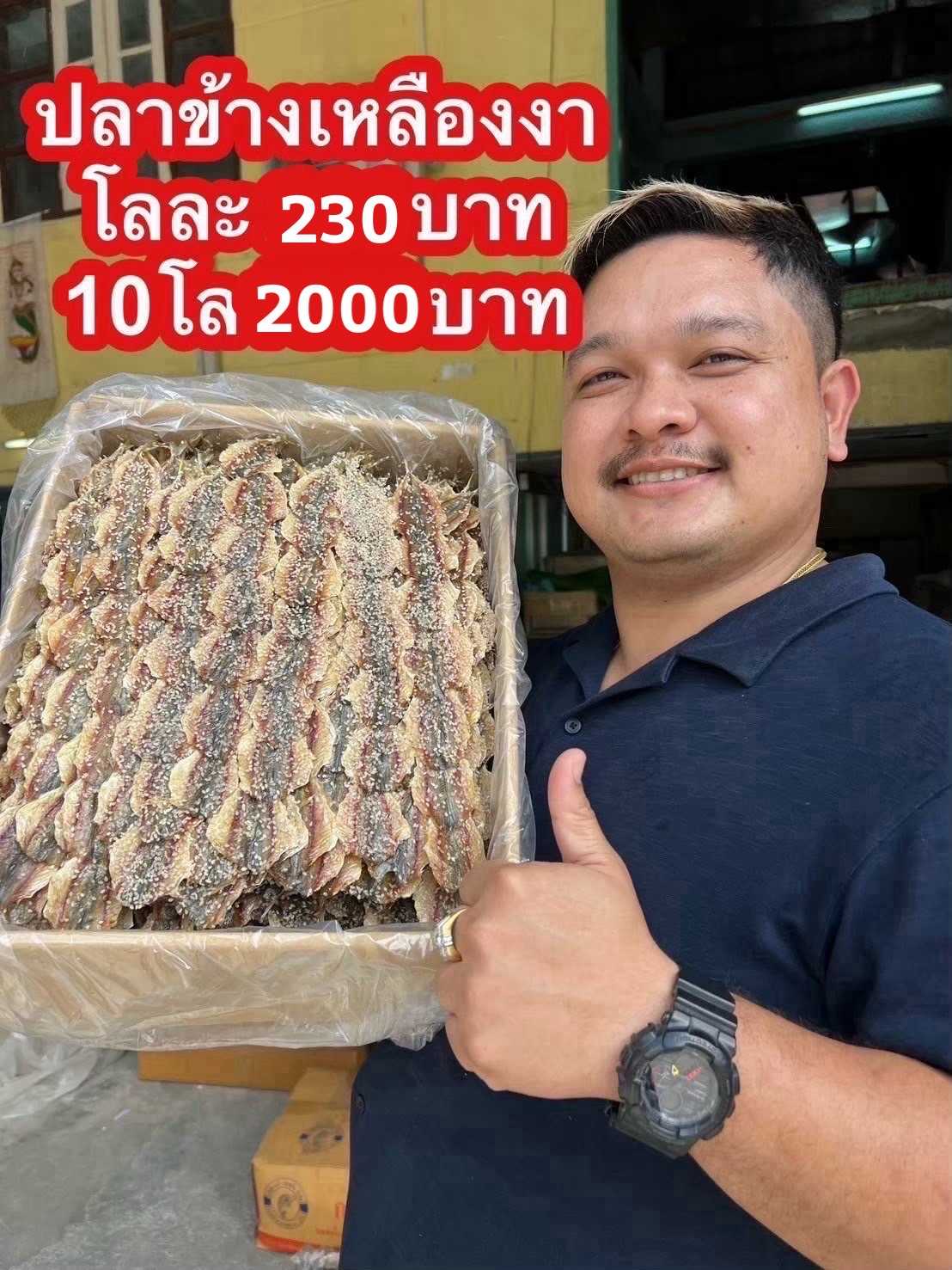 ปลาข้างเหลืองงา 5kg โลละ 200