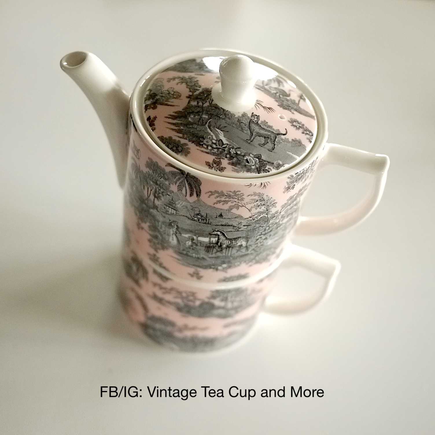 Spode Zoological Gardens Tea for One