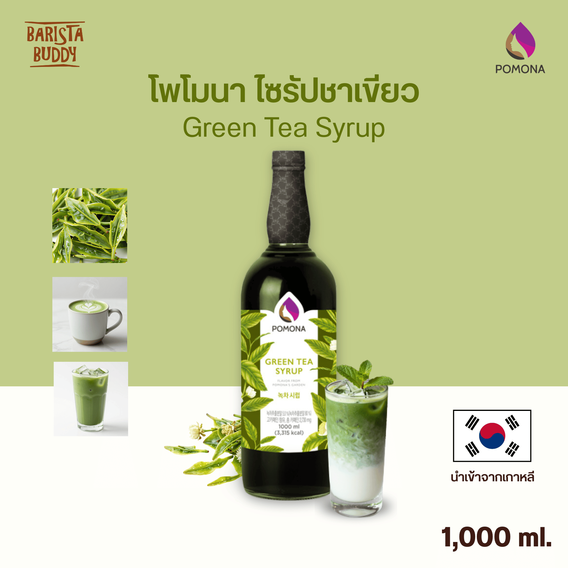 Pomona - Green Tea Syrup ไซรัป ชาเขียว