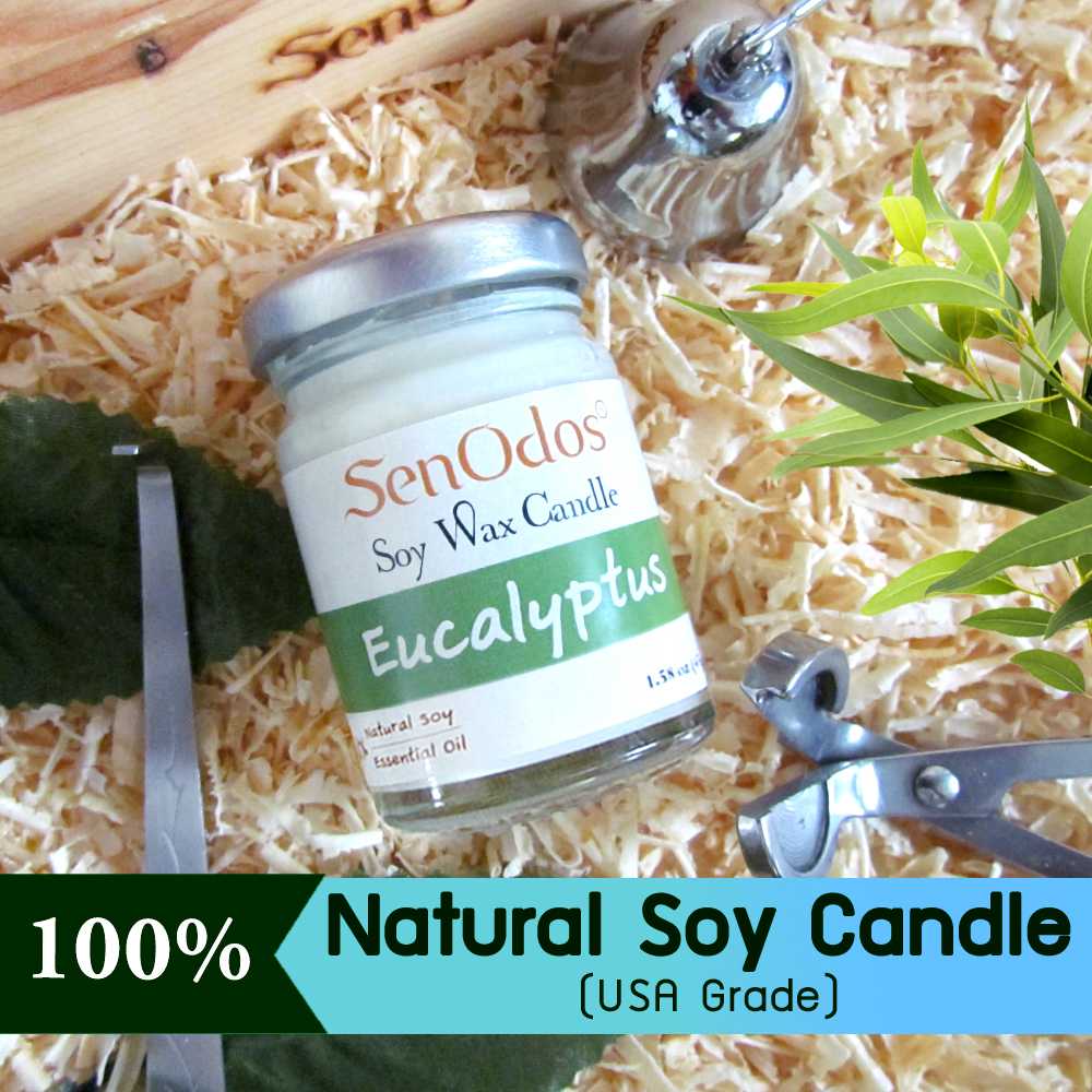 เทียนหอม อโรม่า เทียนหอมสปา Eucalyptus Scented Soy Candle Aroma 45 g -  กลิ่นยูคาลิปตัสแท้