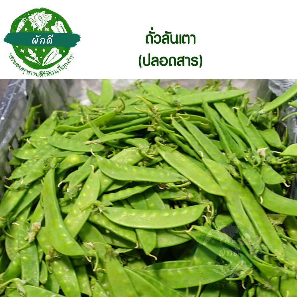 ถั่วลันเตาแบน (ปลอดสาร) 200  กรัม