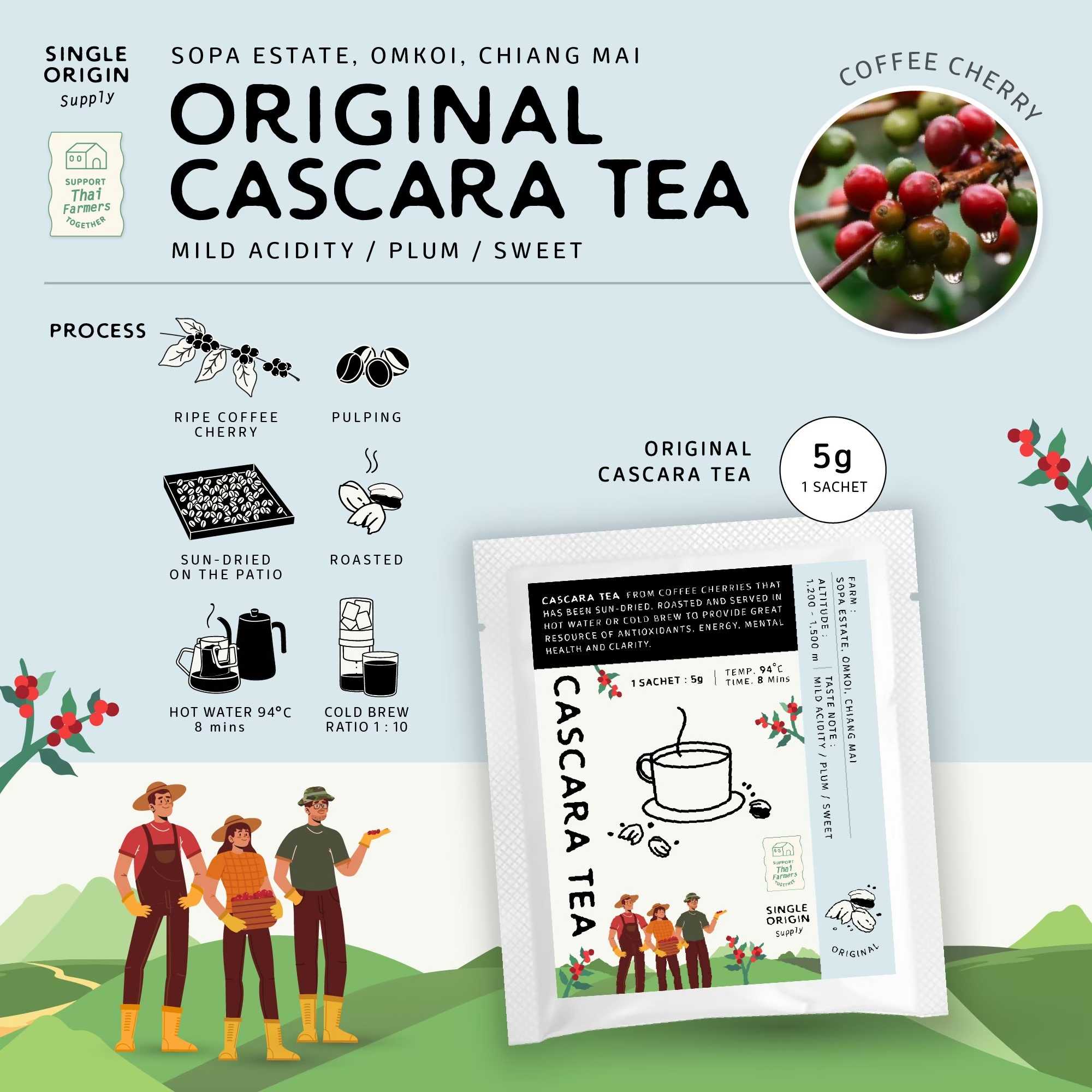 Cascara Tea (Gift box 8pcs)