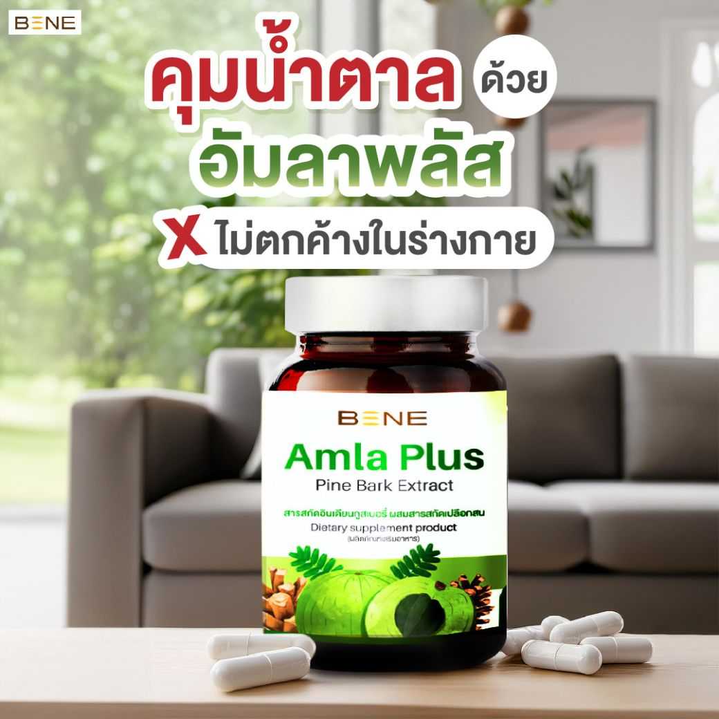 🚩BENE amla plus อัมลาพลัส สารสกัดมะขามป้อมอินเดีย สารต้านอนุมูลอิสระ (30 แคปซูล)