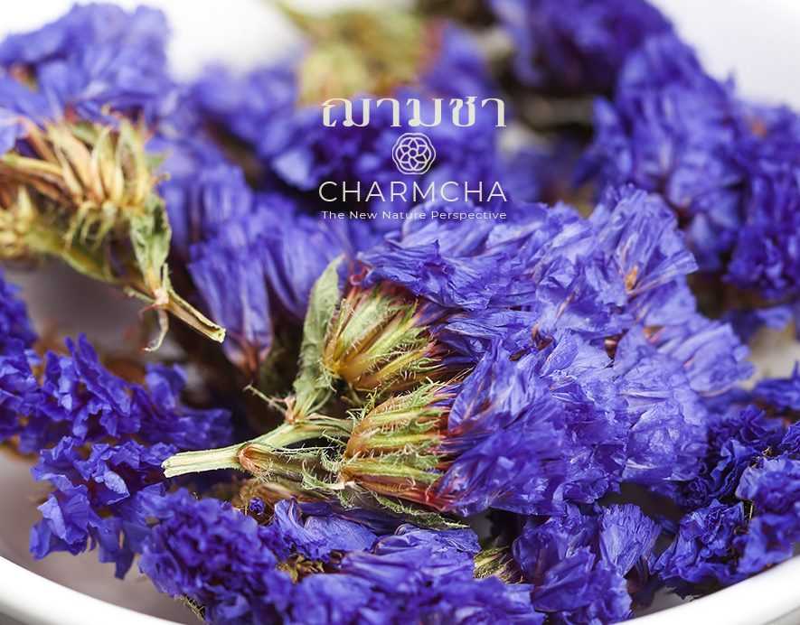 ชาฟอร์เก็ตมีน็อต ( forget me not ) บำรุงร่างกาย บำรุงหัวใจ ช่วยในเรื่องระบบภายในผู้หญิงและผู้ชาย