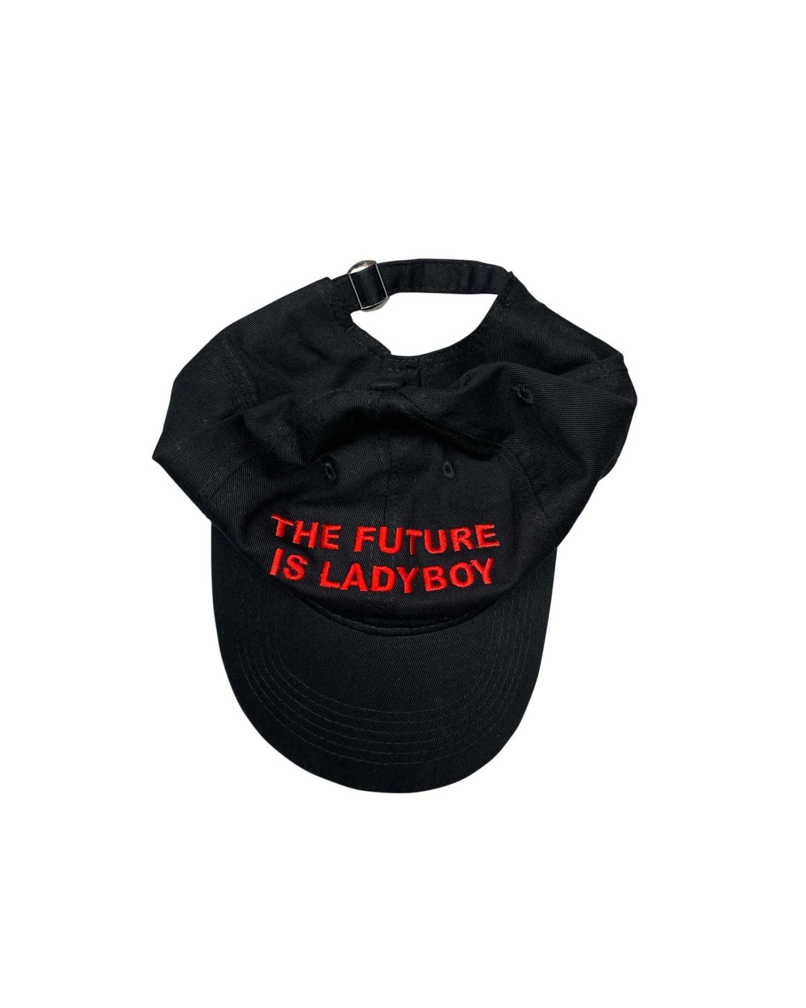 The Future is Ladyboy Cap With Red Logo