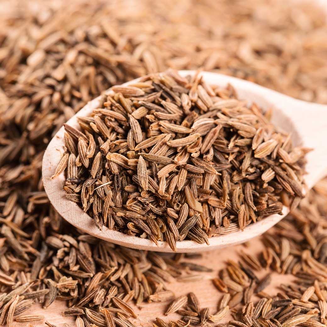 เม็ดยี่หร่า (Cumin Seed)